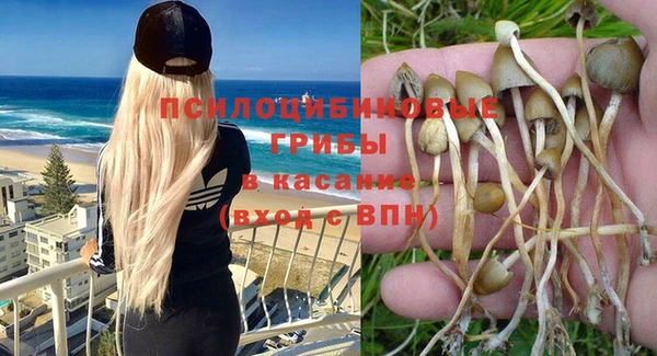 мяу мяу мука Алексин