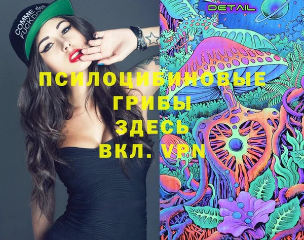 мяу мяу мука Алексин