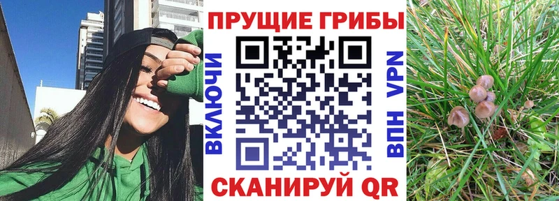 Галлюциногенные грибы GOLDEN TEACHER  Сунжа 