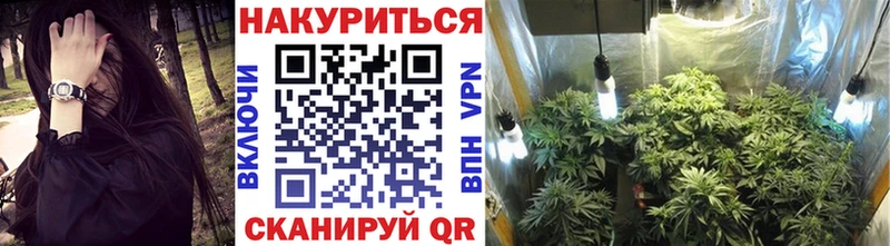 МАРИХУАНА план  Сунжа 